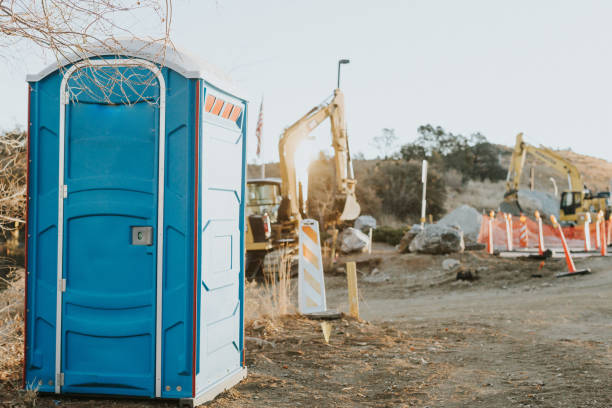 Best Wedding porta potty rental  in Despard, WV