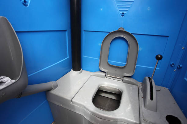 Best Porta potty rental for parties  in Despard, WV