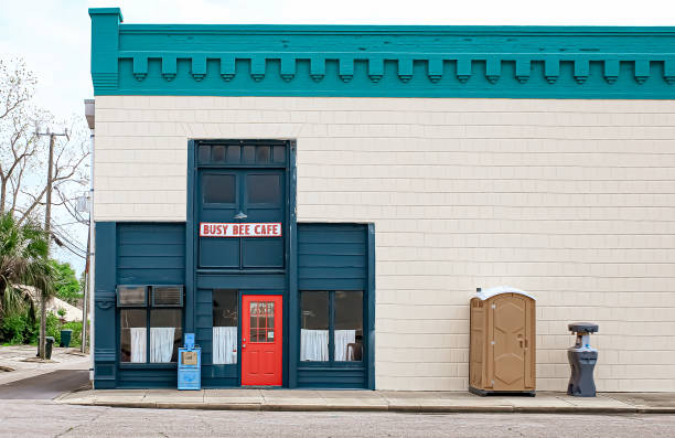 Best Affordable portable toilet rental  in Despard, WV