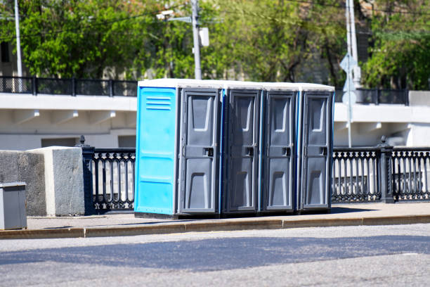 Best Portable toilet rental cost  in Despard, WV