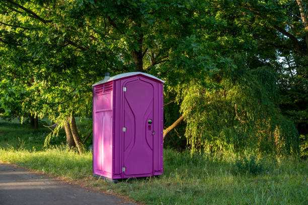 Best Luxury portable toilet rental  in Despard, WV