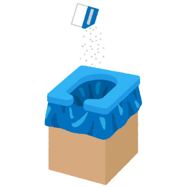 Best Sanitation services for porta potties  in Despard, WV