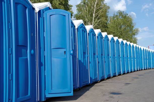 Best Porta potty rental near me  in Despard, WV